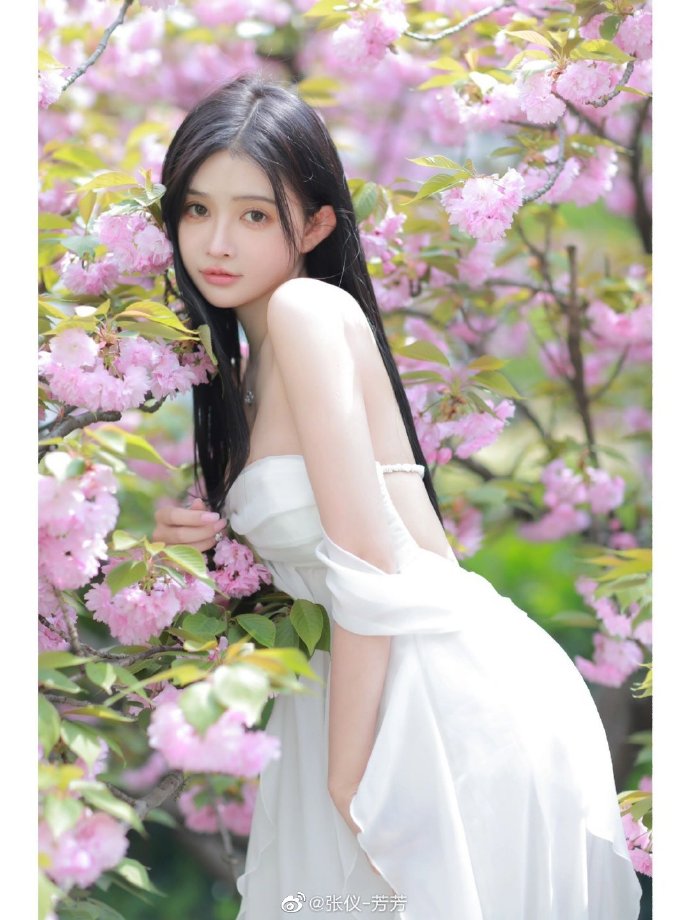 传记 · 电脑